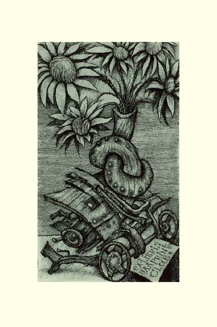 Flowers for presidents